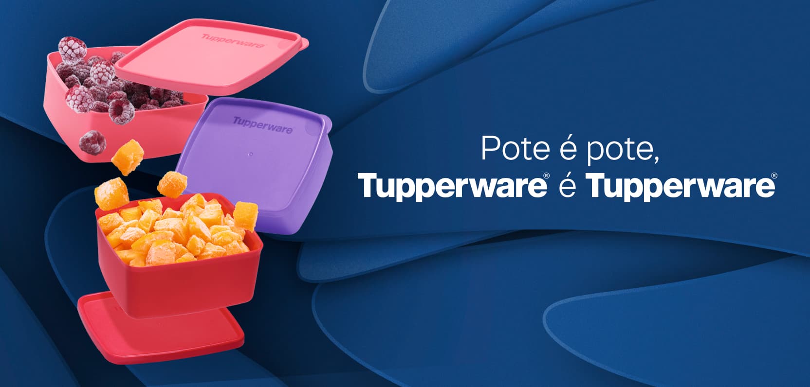 Tupperwere é Tupperware